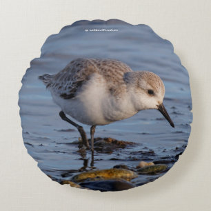 Cute Sanderling Sandpiper Shorebird at the Beach Round Cushion