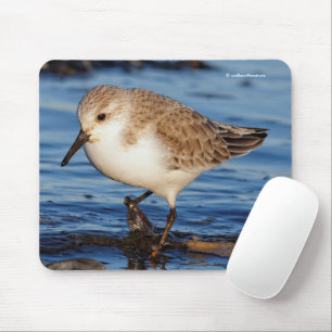Cute Sanderling Sandpiper Shorebird Wanders Beach Mouse Mat