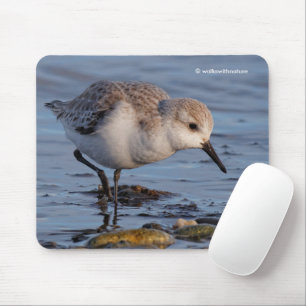 Cute Sanderling Sandpiper Strolling a Winter Beach Mouse Mat