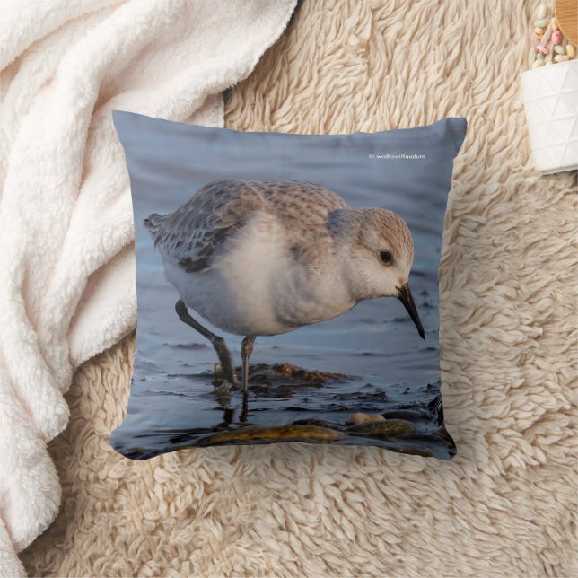 Cute Sanderling Sandpiper Strolling Winter Beach Cushion (Blanket)