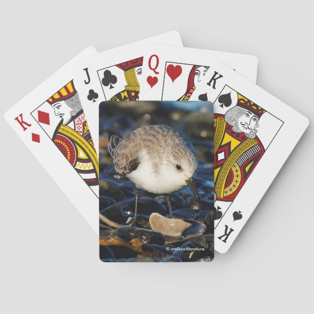 Cute Sanderling Shorebird Dines on Clam on Beach Playing Cards (Back)