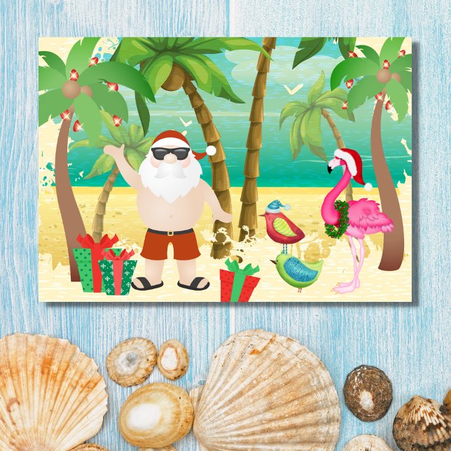 Cute Santa and Tropical Birds Beach Christmas Holiday Card (Front - Cute Santa and Tropical Birds Beach Christmas Holiday Card)