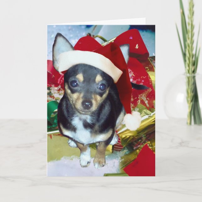 Cute Santa Chihuahua AngelPearlGirl Holiday Card (Front)
