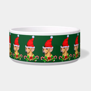 Cute Santa Dachshund Christmas