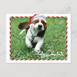 Cute Santa Dog Merry Christmas Holiday Postcard