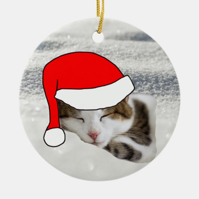 Cute Santa Hat Kitten Sleeping Christmas Ornament (Front)