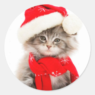Cute Santa Kitty Classic Round Sticker