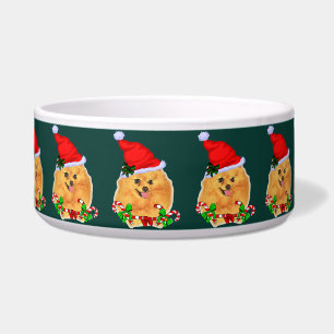 Cute Santa Pomeranian Christmas