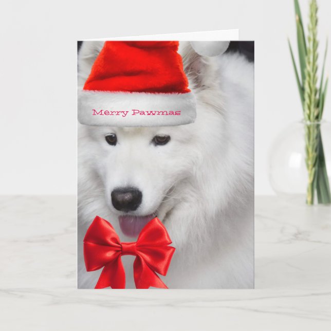 Cute Santa Samoyed merry Christmas card (Front)