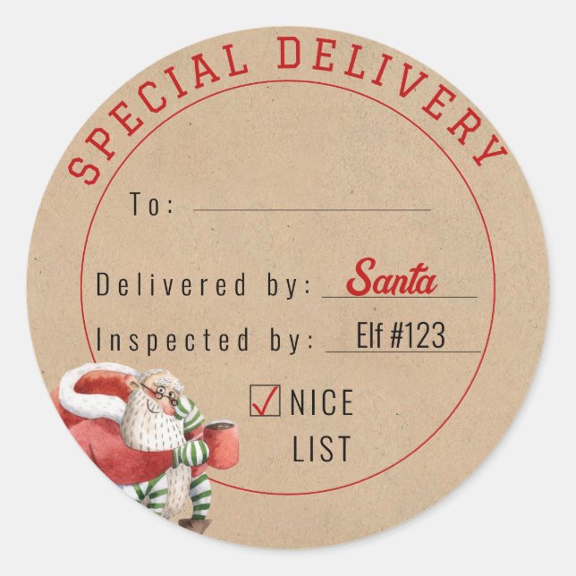 Cute Santa Special Delivery Gift Tag (Front)