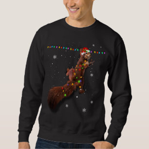 Cute Santa Squirrel Christmas Lights Funny Xmas Sq Sweatshirt