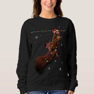 Cute Santa Squirrel Christmas Lights Funny Xmas Sq Sweatshirt