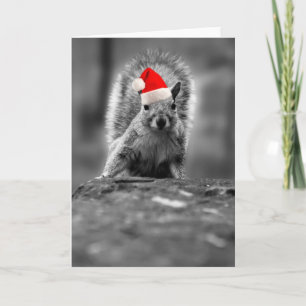 Cute Santa Squirrel Holiday Card