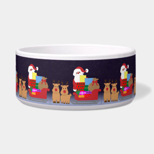 Cute Santa With Reindeer