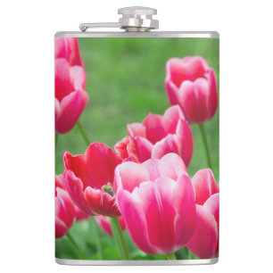 Cute scarlet tulips in the garden hip flask