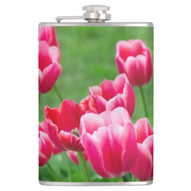 Cute scarlet tulips in the garden hip flask (Front)