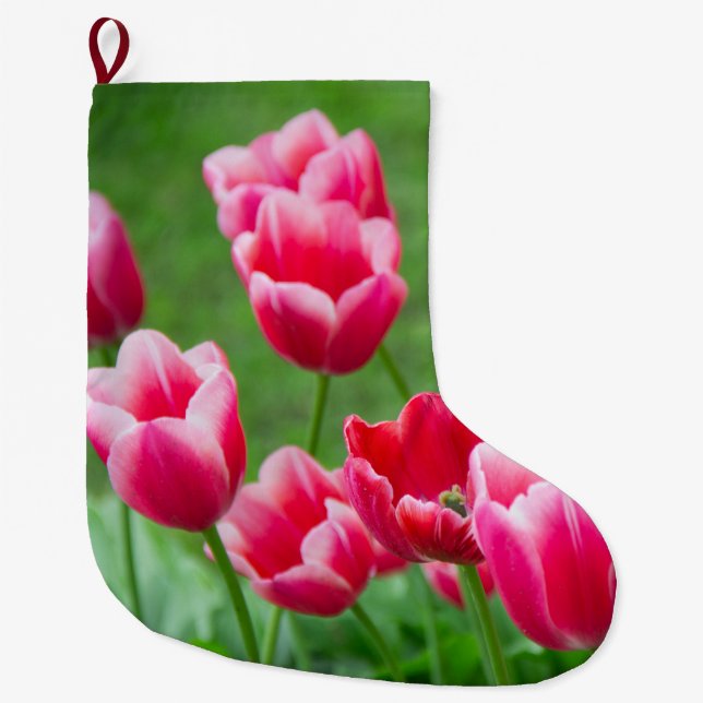 Cute scarlet tulips in the garden large christmas stocking (Front)