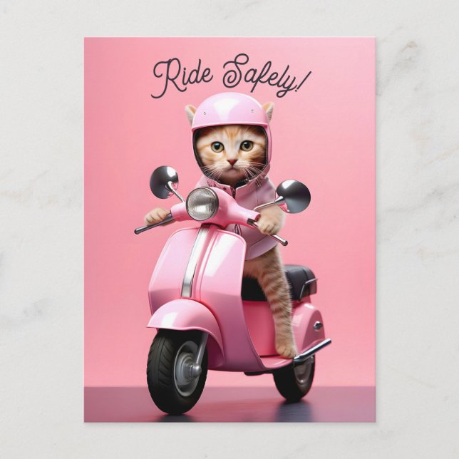 Cute Scooter Kitty Ride Safely Postcard (Front)