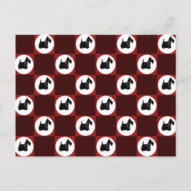 Cute Scottie Dogs Postcard (Front)
