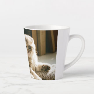 Cute Scottish Fold Cat Mug - Cosy Cat Lover Coffee