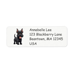 Cute Scottish Terrier