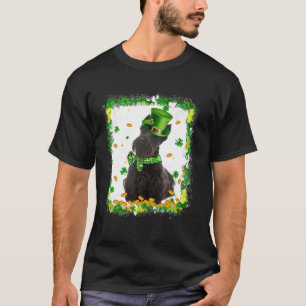 Cute Scottish Terrier Dog St Patricks Day Irish Sh T-Shirt