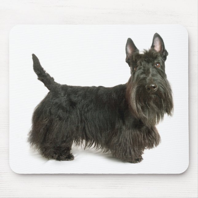 Cute Scottish Terrier Puppy Dog Mousepad (Front)