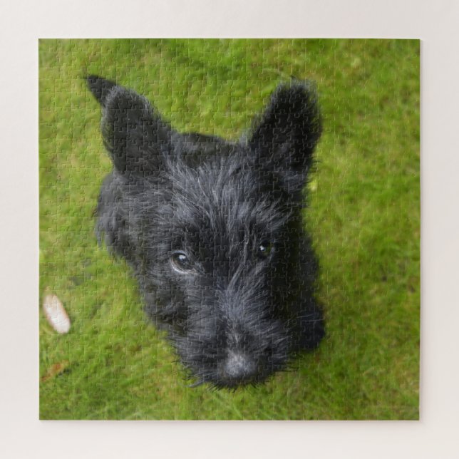 Cute Scottish Terrier Puppy Jigsaw Puzzle (Vertical)