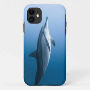 Cute Sea Dolphin iPhone 11 Case