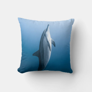 Cute Sea Dolphin Cushion