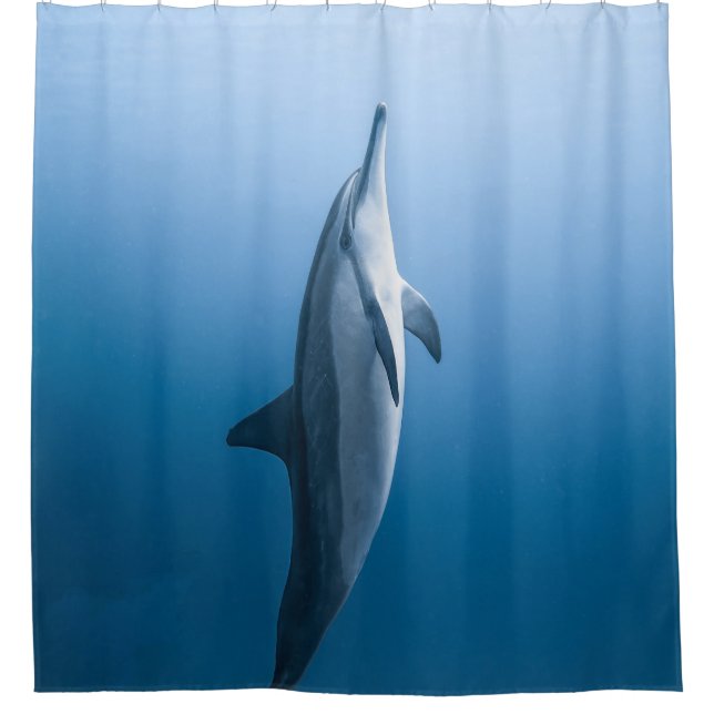 Cute Sea Dolphin Shower Curtain (Front)