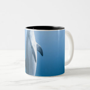 Cute Sea Dolphin Two-Tone Coffee Mug
