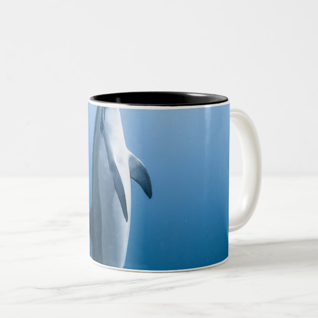 Cute Sea Dolphin Two-Tone Coffee Mug (Front Right)