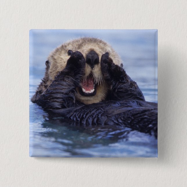 Cute Sea Otter | Alaska, USA 15 Cm Square Badge (Front)