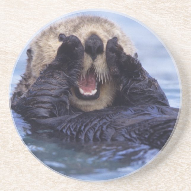 Cute Sea Otter | Alaska, USA Coaster (Front)