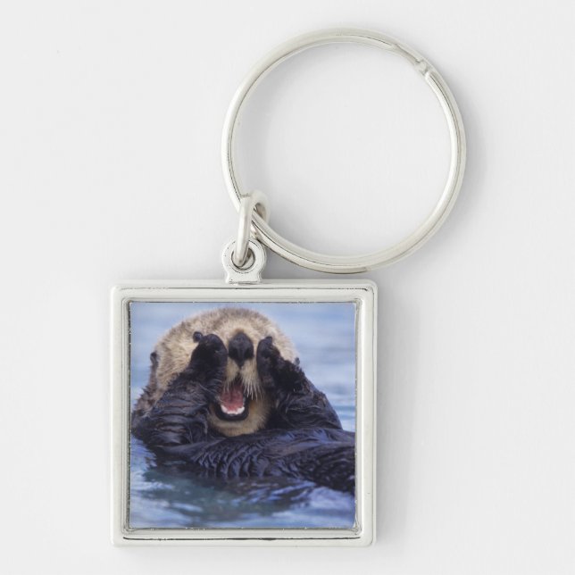 Cute Sea Otter | Alaska, USA Key Ring (Front)