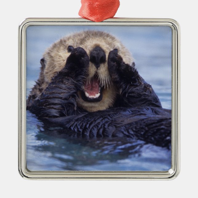 Cute Sea Otter | Alaska, USA Metal Tree Decoration (Front)