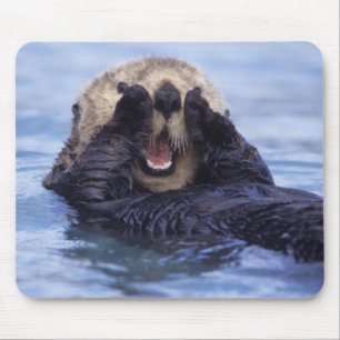 Cute Sea Otter   Alaska, USA Mouse Mat
