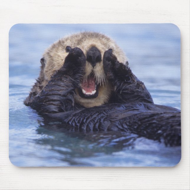 Cute Sea Otter | Alaska, USA Mouse Mat (Front)