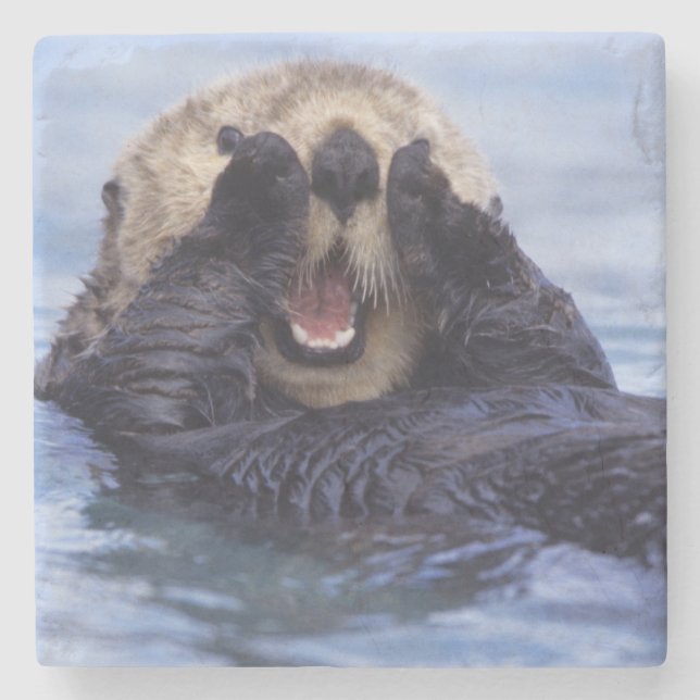 Cute Sea Otter | Alaska, USA Stone Coaster (Front)