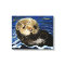 Cute Sea Otter