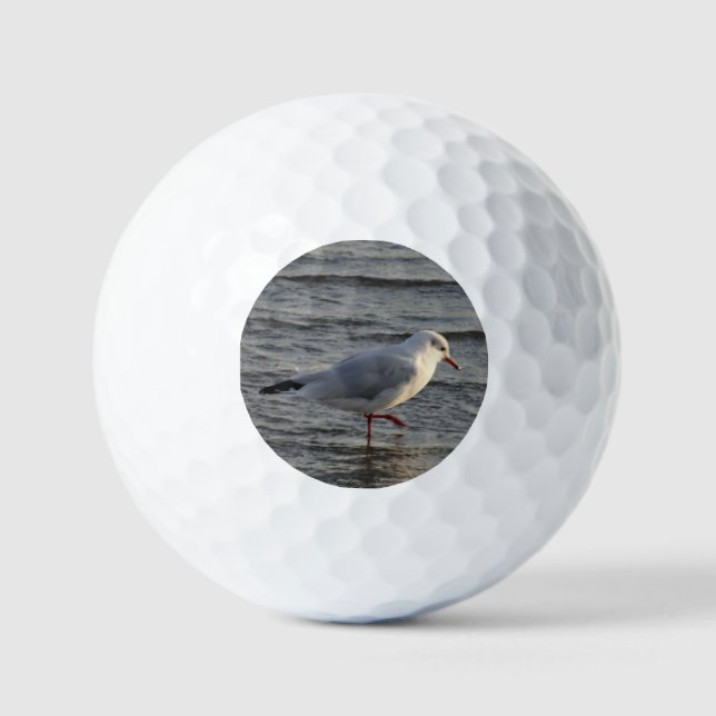 Cute Seagull Golf Balls (Front)