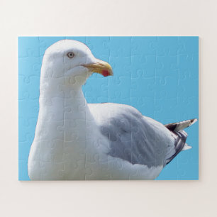 Cute Seagull Laying Down Beach Bird Wildlife Photo Jigsaw Puzzle