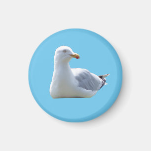 Cute Seagull Resting Calm Blue Coastal Scene Round Magnet