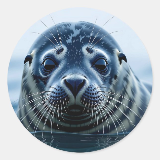 Cute Seal Close up (Front)
