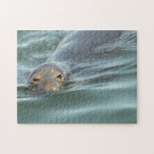 Cute Seal from Cape Cod Jigsaw Puzzle