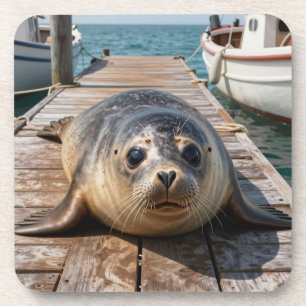 Cute Seal Laying on Boat Dock Ocean Pier Coaster