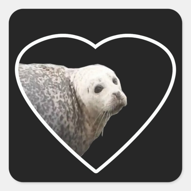 Cute Seal Ocean Wildlife Nature Art  (Front)