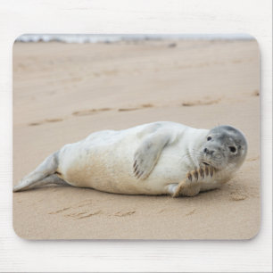 Cute Seal Posing on a Beach Mouse Mat