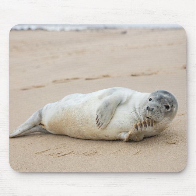 Cute Seal Posing on a Beach Mouse Mat (Front)